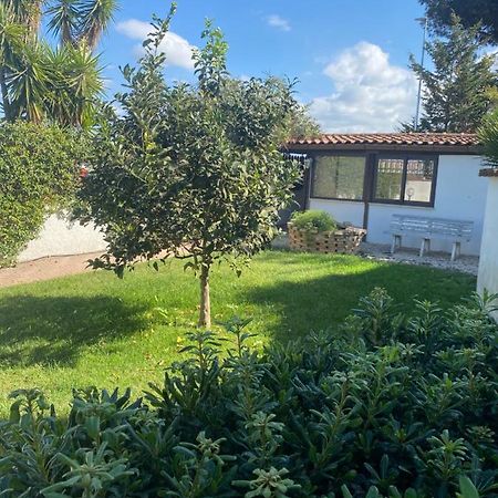 Casa Di Paola Mare Ardea Apartment Exterior photo